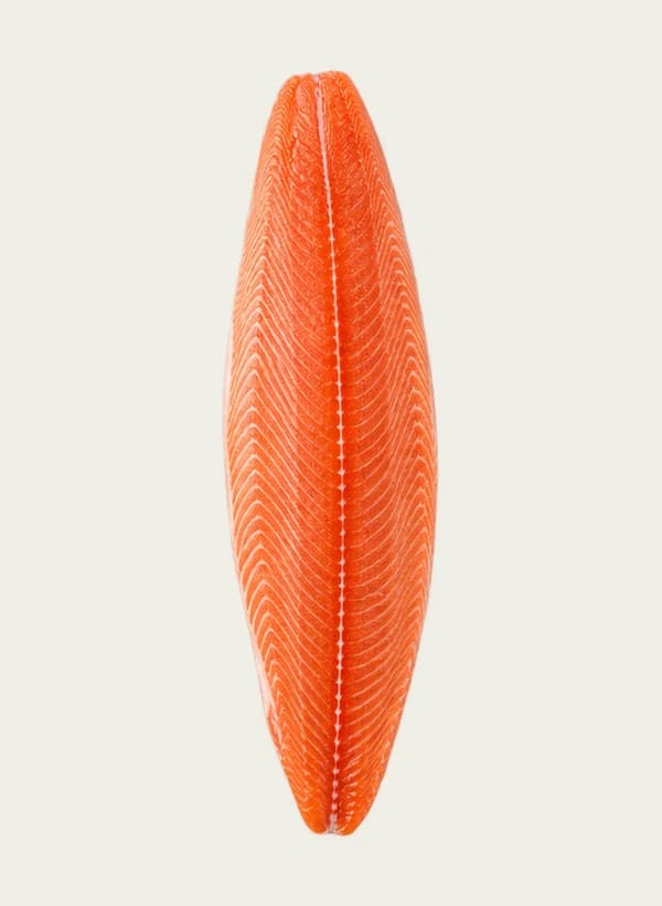 Atlantiklachsfilet auf Trim D getrimmt, von oben fotografiert