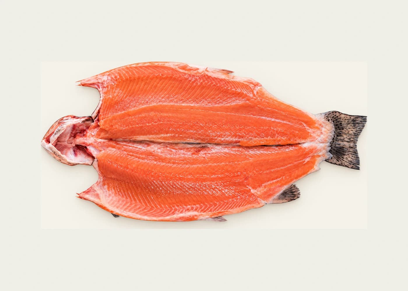 Norwegischer Atlantiklachs — Schmetterlingsfilet