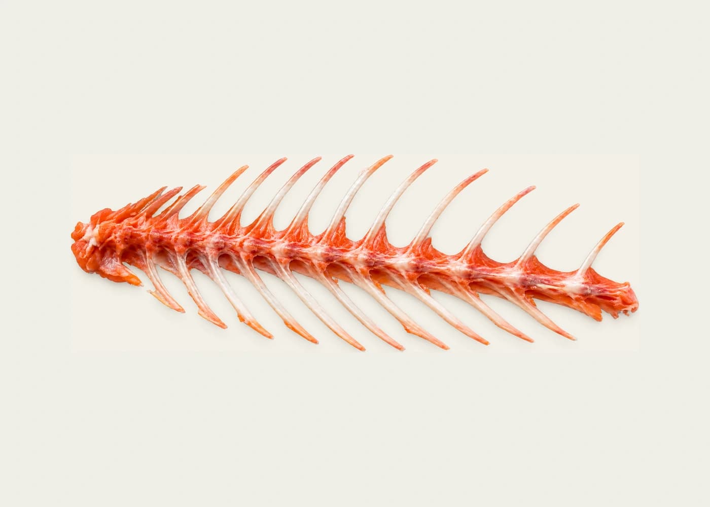 Das beim Filetieren entfernte Rippengerüst eines Atlantiklachses